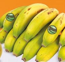 Oferta de Plátano Ecologico por 3,45€ en Alimerka