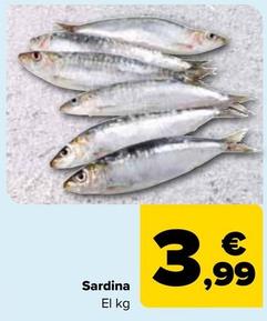 Oferta de Sardina por 3,99€ en Carrefour