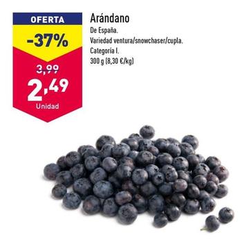 Oferta de Arándano por 2,49€ en ALDI