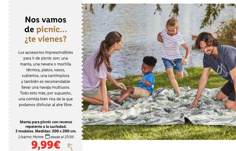 Oferta de Livarno - Home Manta Para Picnic Con Reverso Repelente por 9,99€ en Lidl
