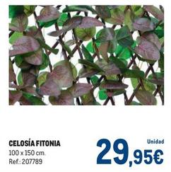 Oferta de Celosía Fitonia por 29,95€ en Makro