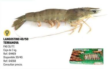 Oferta de Terranova - Langostino en Makro