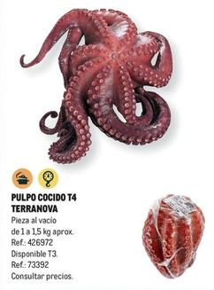 Oferta de Terranova - Pulpo Cocido T4 en Makro