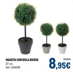 Oferta de Maceta Con Bola Buxus por 8,95€ en Makro