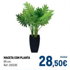 Oferta de Maceta Con Planta por 28,5€ en Makro