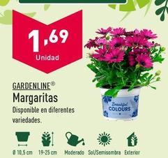 Oferta de Gardenline - Margaritas por 1,69€ en ALDI