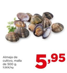 Oferta de Almeja De Cultivo por 5,95€ en Alimerka