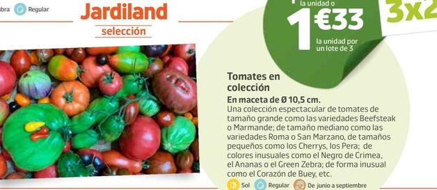 Oferta de Tomates En Colección por 1,33€ en Jardiland