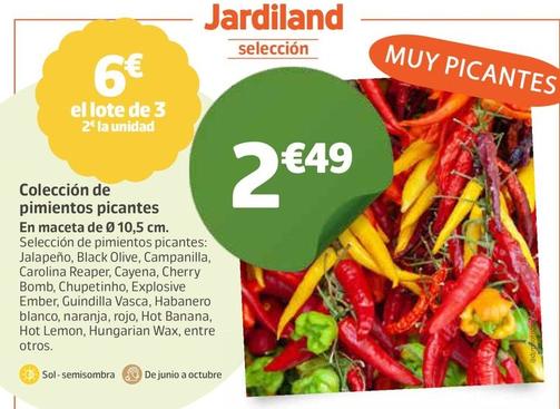 Oferta de Colección De Pimientos Picantes por 2,49€ en Jardiland