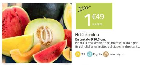 Oferta de Meló I Síndria por 1,49€ en Jardiland