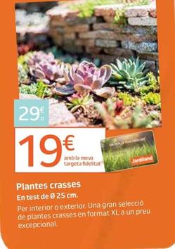 Oferta de Plantes Crasses por 29€ en Jardiland