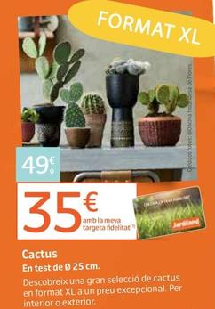 Oferta de Cactus por 49€ en Jardiland
