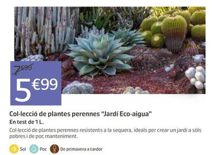 Oferta de Col·lecció De Plantes Perennes "jardí Eco-aigua" por 5,99€ en Jardiland