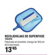 Oferta de Recogehojas De Superficie por 13,45€ en Ferrcash