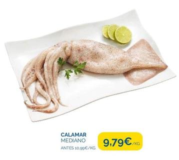 Oferta de Calamares por 9,79€ en Supermercados La Despensa