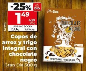 Oferta de Gran Dia - Copos De Arroz Y Trigo Integral Con Chocolate Negro  por 1,99€ en Dia