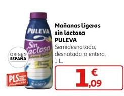 Oferta de Puleva - Mananas Ligeras Sin Lactosa por 1,09€ en Alcampo