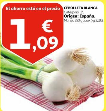 Oferta de Cebolleta Blanca por 1,09€ en Alcampo