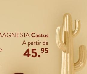 Oferta de Magnesia - Cactus por 45,95€ en Casa