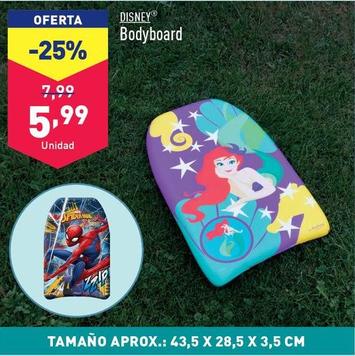 Oferta de Disney - Bodyboard por 5,99€ en ALDI