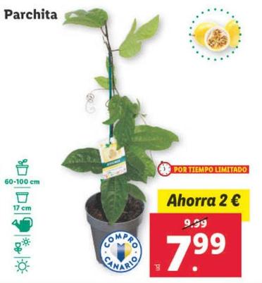 Oferta de Parchita por 7,99€ en Lidl