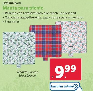 Oferta de Livarno Home - Manta Para Picnic por 9,99€ en Lidl
