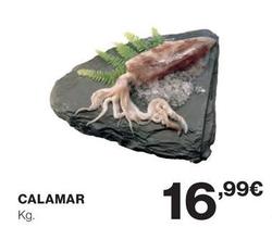 Oferta de Calamar por 16,99€ en Hipercor