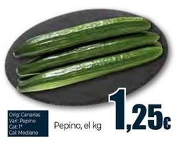 Oferta de Pepino por 1,25€ en Unide Supermercados