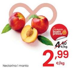 Oferta de Nectarina 1 Manto por 2,99€ en Eroski