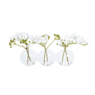 Oferta de Mini orquídeas en ilusión de agua IRINA- Blanco por 22,5€ en SIA Home Fashion