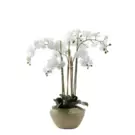 Oferta de Composición de orquídeas artificiales- Blanco, Blanca por 191,2€ en SIA Home Fashion