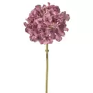 Oferta de Hortensia LESLIE- Rosado por 5,96€ en SIA Home Fashion