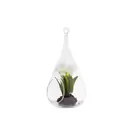 Oferta de Narciso para colgar- Blanco, Blanca por 10,9€ en SIA Home Fashion