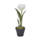Oferta de Tulipán con efecto de nieve en maceta- Blanco por 8,9€ en SIA Home Fashion