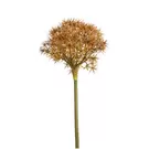 Oferta de Allium- naranja por 11,6€ en SIA Home Fashion