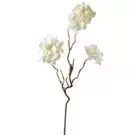 Oferta de Hortensia SNOWBALLS H74- Blanco por 7,45€ en SIA Home Fashion