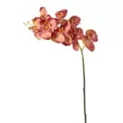 Oferta de Orquídea Phalaenopsis GLITTER- Rojo por 3,57€ en SIA Home Fashion