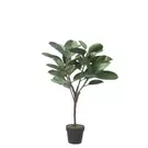 Oferta de Ficus en maceta 115cm- Verde por 109,9€ en SIA Home Fashion
