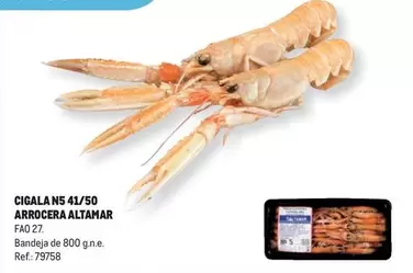 Oferta de Altamar - Cigala N5 Arrocera en Makro