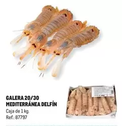 Oferta de Delfín - Galera Mediterránea en Makro