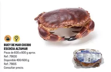 Oferta de Altamar - Buey De Mar Cocido Escocia en Makro