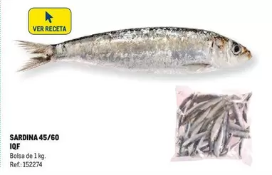 Oferta de Sardina 45/60 IQF en Makro