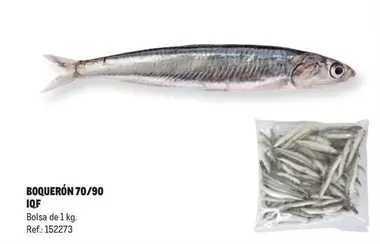 Oferta de Boquerón 70/90 IQF en Makro