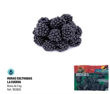 Oferta de La Cuerva - Moras Cultivadas en Makro