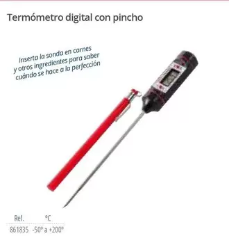 Oferta de Termómetro Digital Con Pincho en Makro