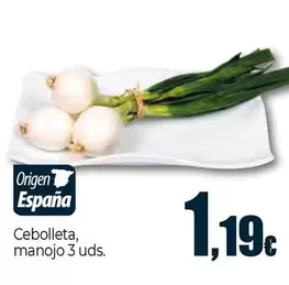 Oferta de Cebolleta por 1,19€ en Unide Supermercados