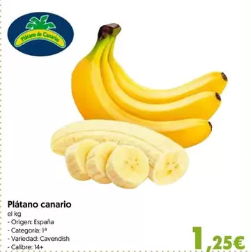 Oferta de España - Platano Canario por 1,25€ en Hiper Usera