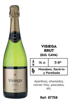 Oferta de Visiega - Brut (D.O. Cava) en Makro