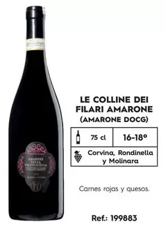 Oferta de Le Colline Dei Filari Amarone (amarone DOCG) en Makro