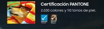 Oferta de Pantone - Certificación en Costco